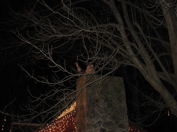 christmasthrumarch 041.jpg